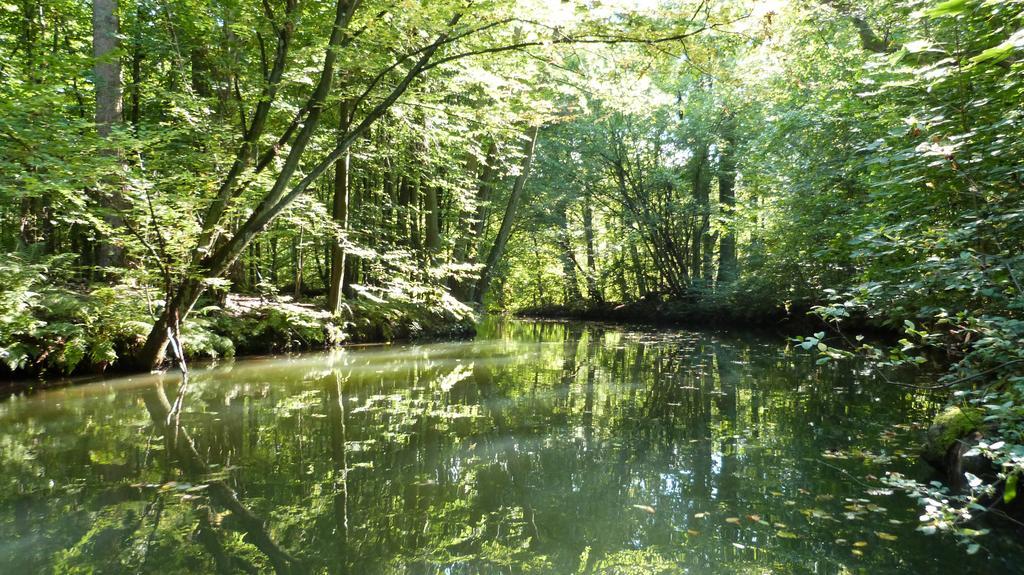 Gaestehaus Liubas Insel Köthen Exteriör bild